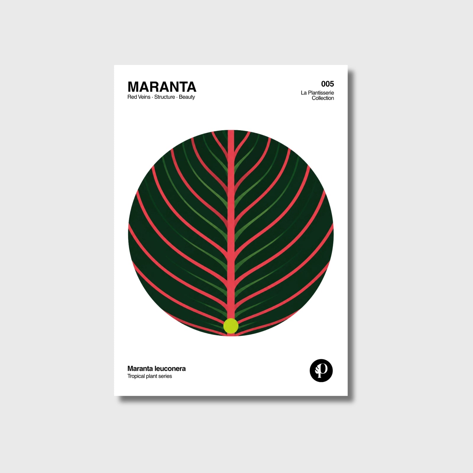 Maranta | Tropical Series | N°005