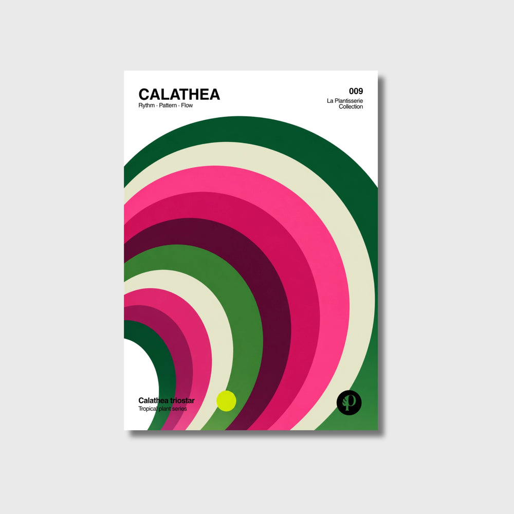 Póster botánico de Calathea, Tropical Series N°009, papel mate 200g · La Plantisserie