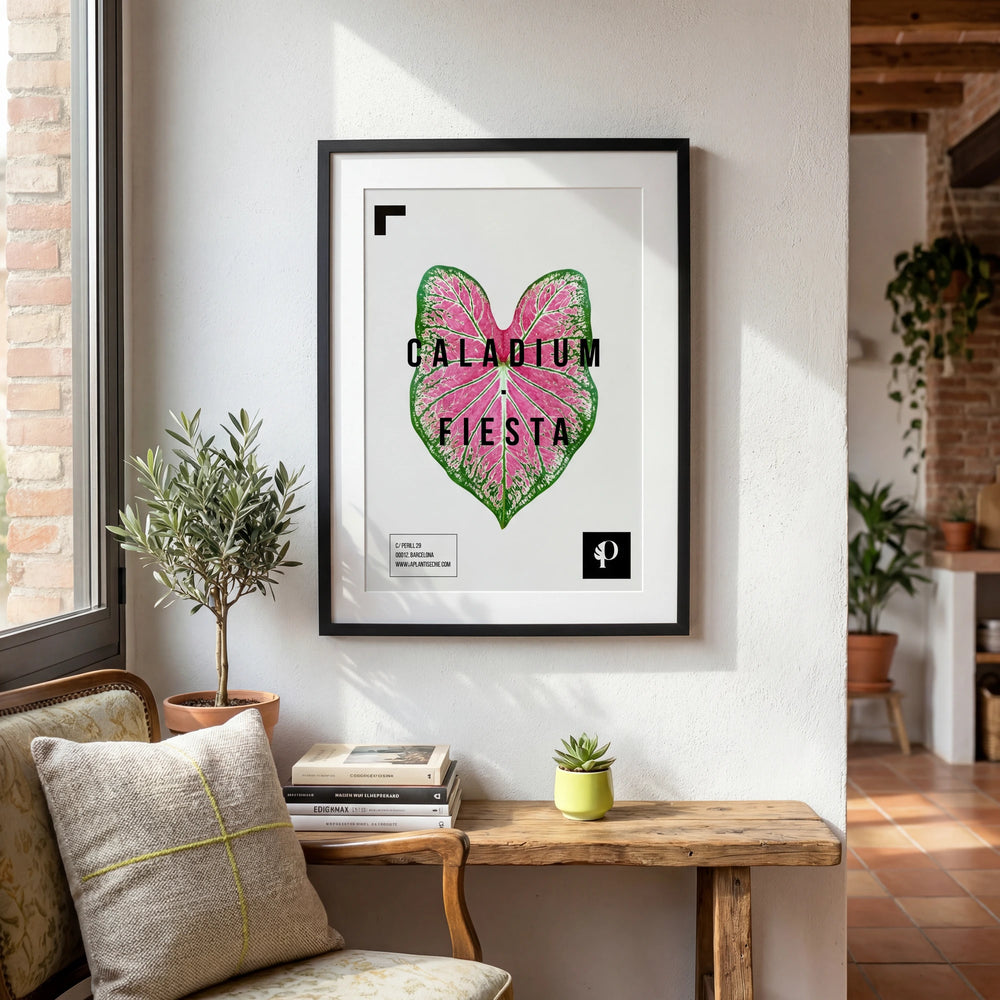 Lámina de Caladium Fiesta enmarcada, decoración botánica para la pared