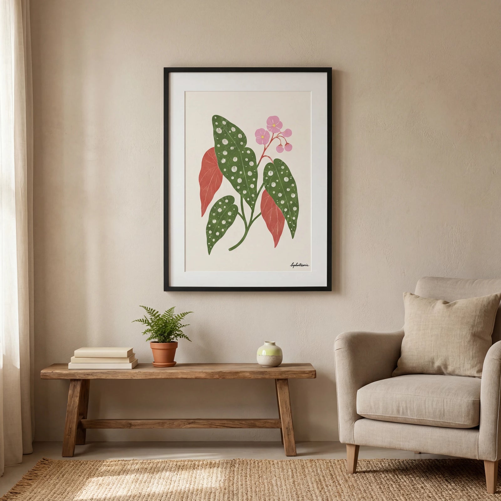 Begonia Maculata | Ilustration