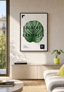 Calathea Orbifolia | Leaf