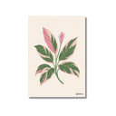 Triostar | Ilustration