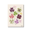 Tréboles de Oxalis | Ilustration