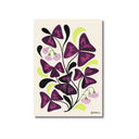 Oxalis | 60s