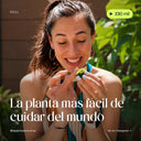 Reel de La Plantisserie: el marimo, la planta más fácil de cuidar del mundo