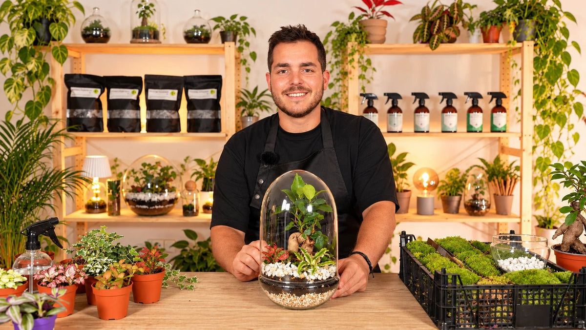 Regalo · Terrarios de plantas: ¡Hazlo con cualquier recipiente! - La Plantisserie
