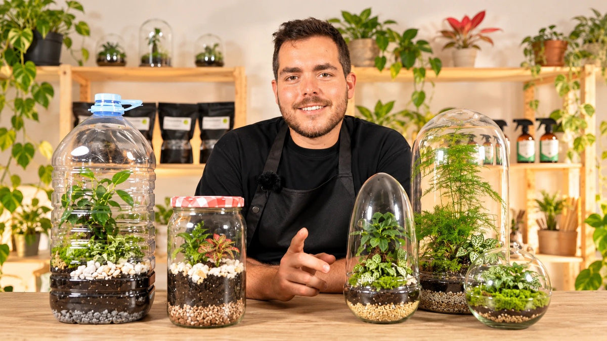 Regalo · Terrarios de plantas: ¡Hazlo con cualquier recipiente! - La Plantisserie