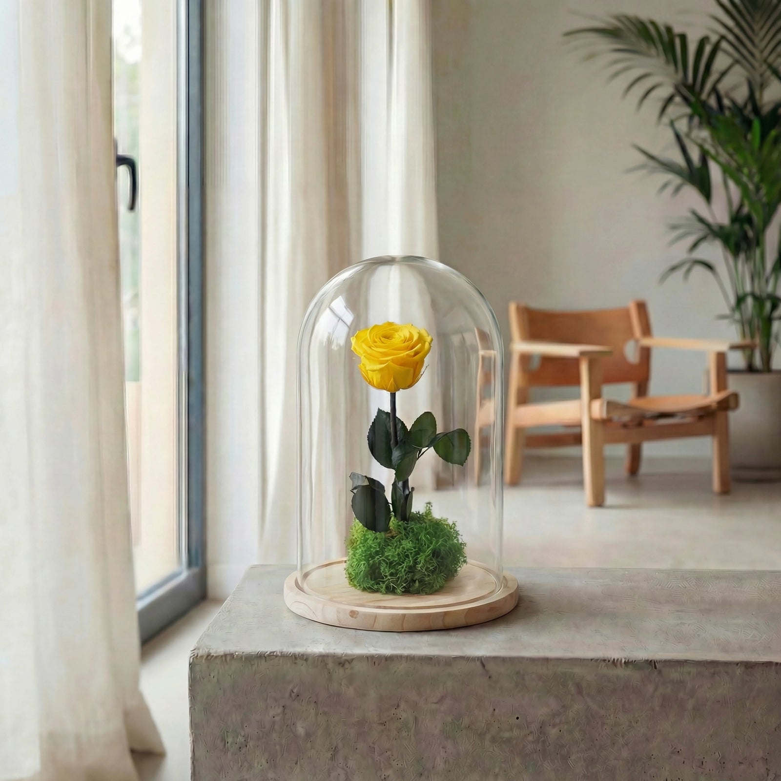 Rosa Bella y la Bestia