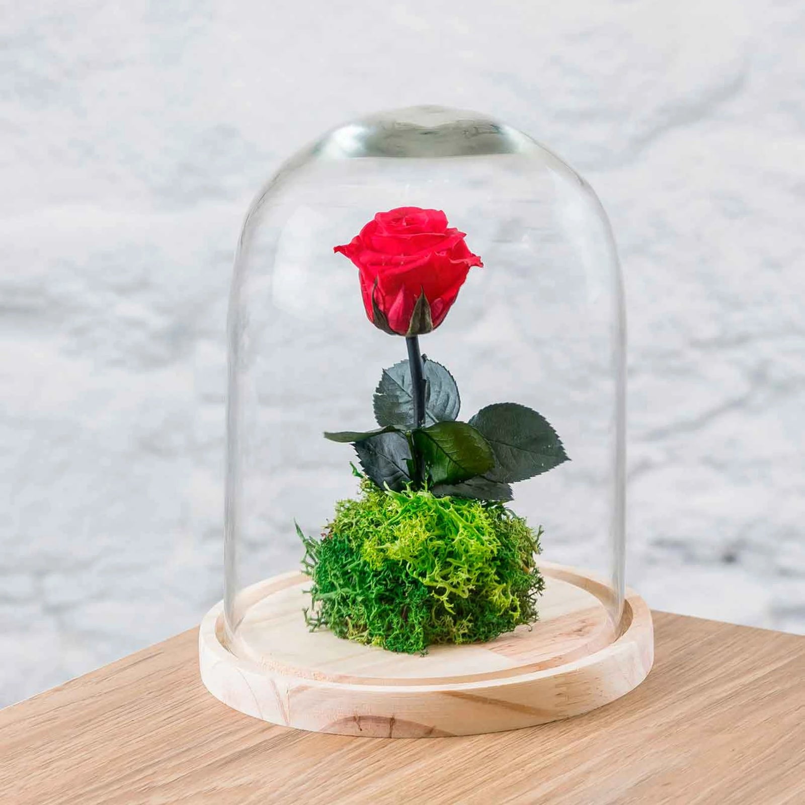 rosa-eterna-bella-y-bestia