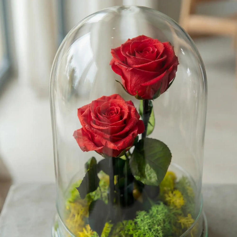 Rosa Eterna Couple - La Plantisserie
