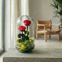Rosa Eterna Couple, dos rosas naturales preservadas bajo cúpula de cristal · La Plantisserie