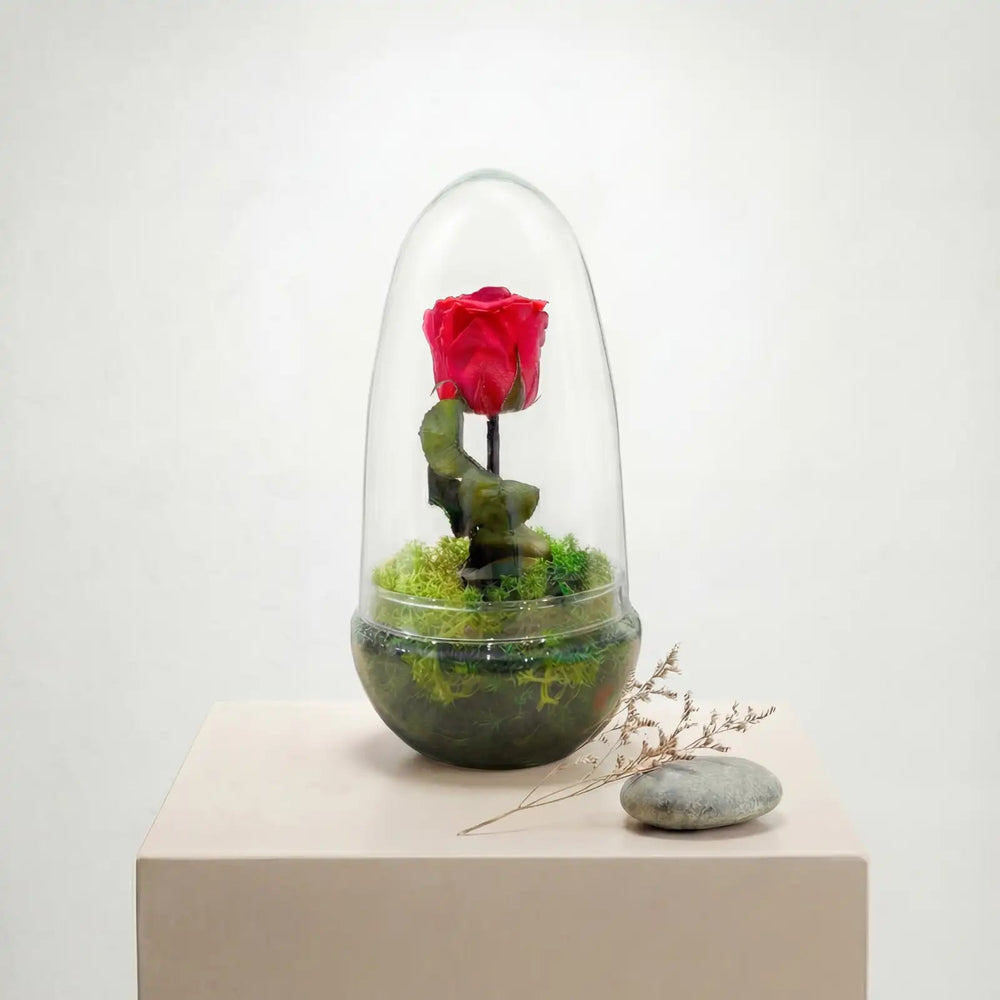 Rosa Eterna en Cristal - La Plantisserie