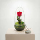 Rosa Eterna en Cristal - La Plantisserie