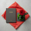 Mi Journal de Pensamientos & Rosa Eterna