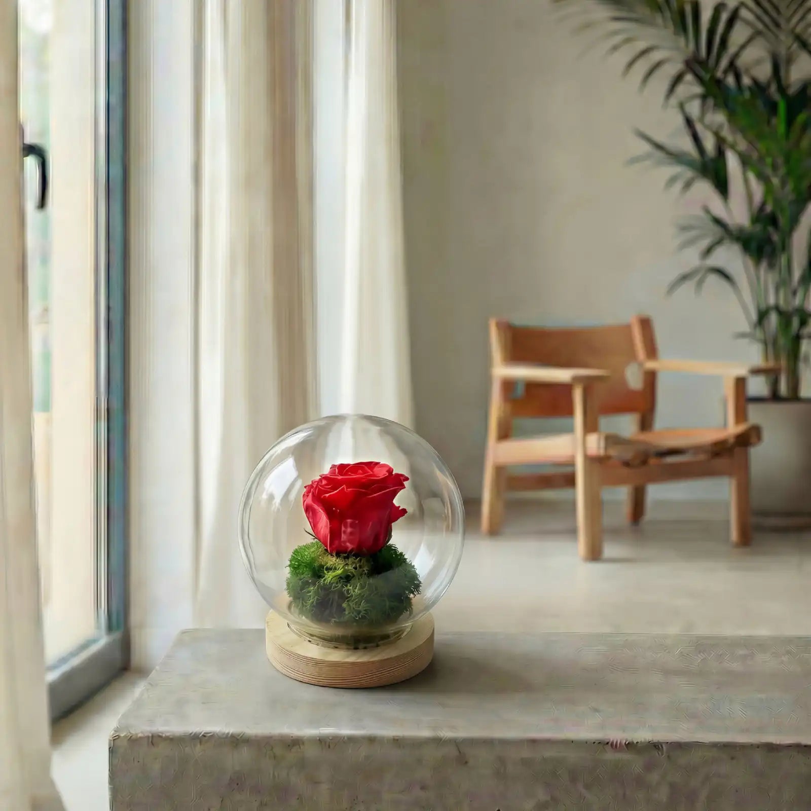 Rosa Eterna Bulb