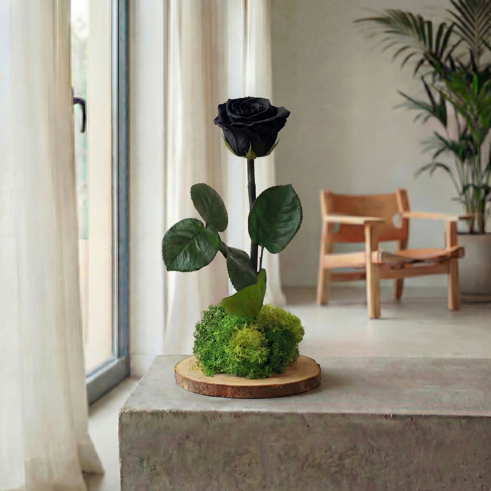 Kokedama Rosa Eterna Wood