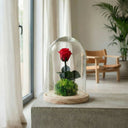 Rosa Bella y la Bestia