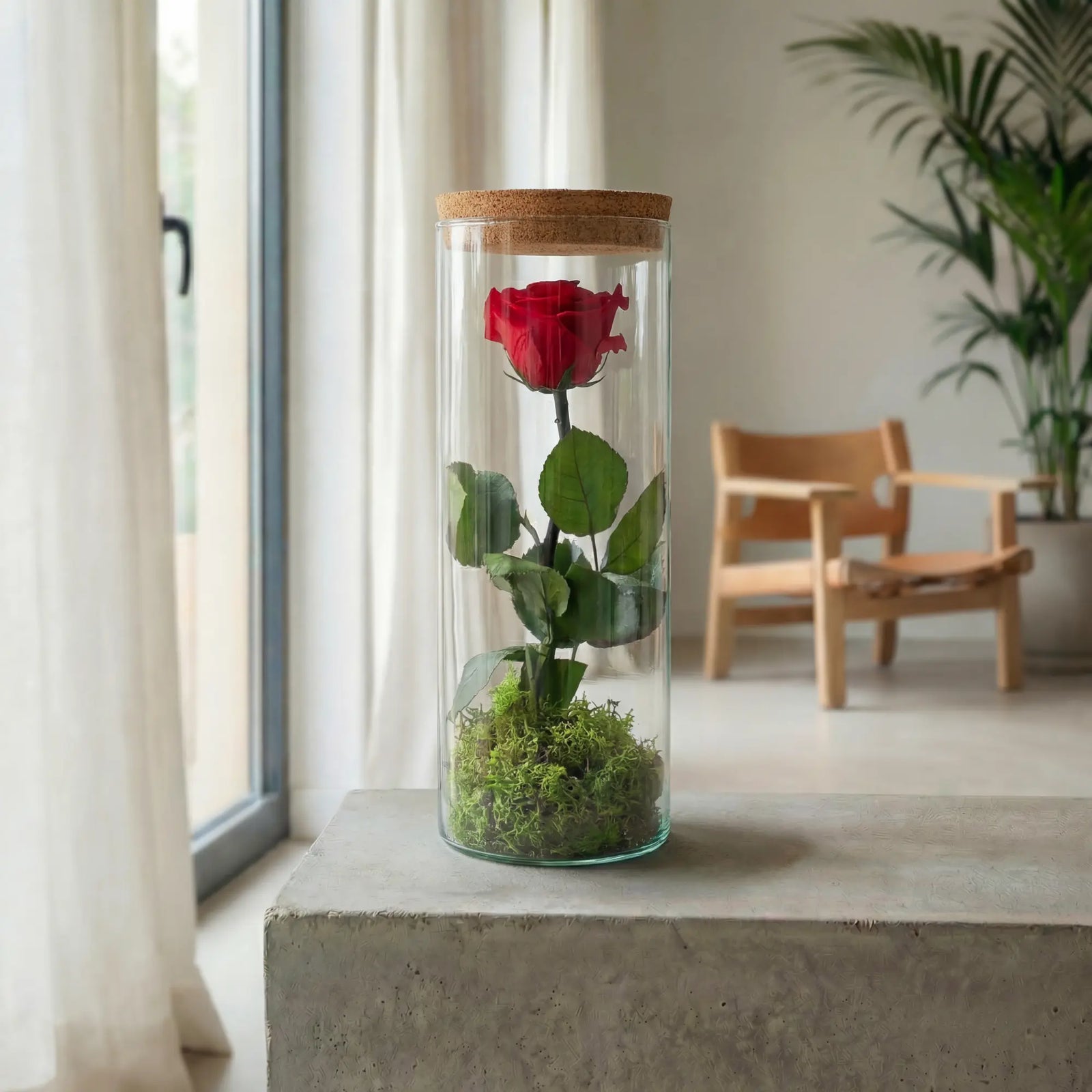 rosa_eterna_tubu