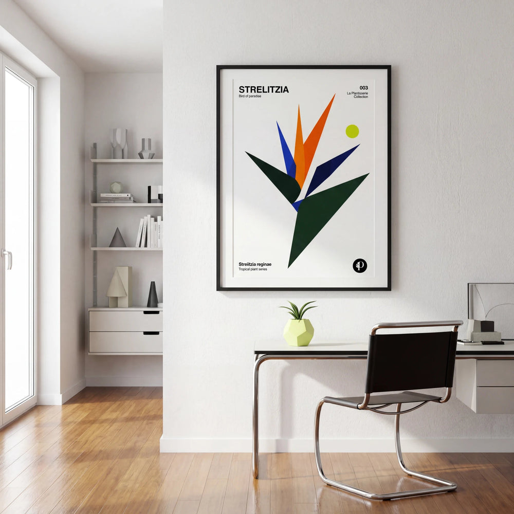 Strelitzia | Tropical Series | N°003 - La Plantisserie