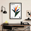Strelitzia | Tropical Series | N°003 - La Plantisserie