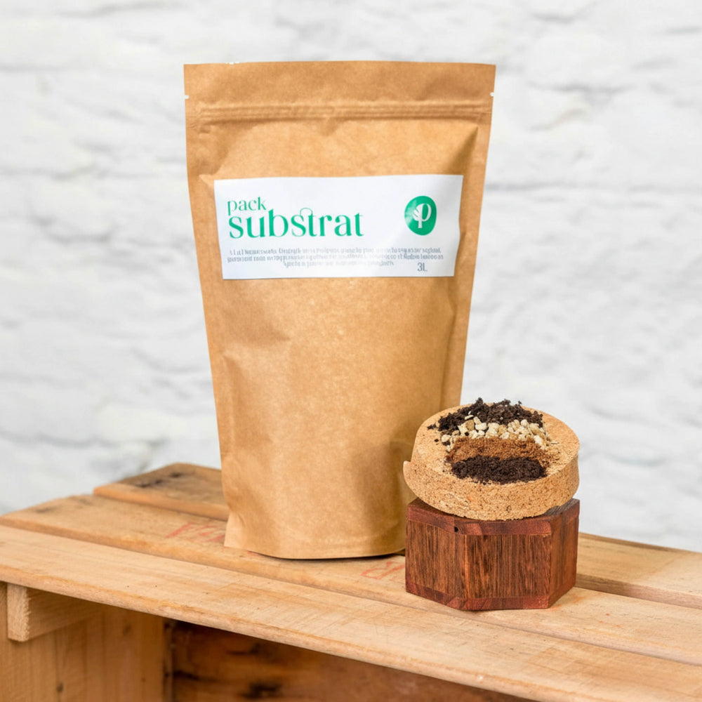 Sustrato personalizado para plantas de La Plantisserie, mezcla a medida