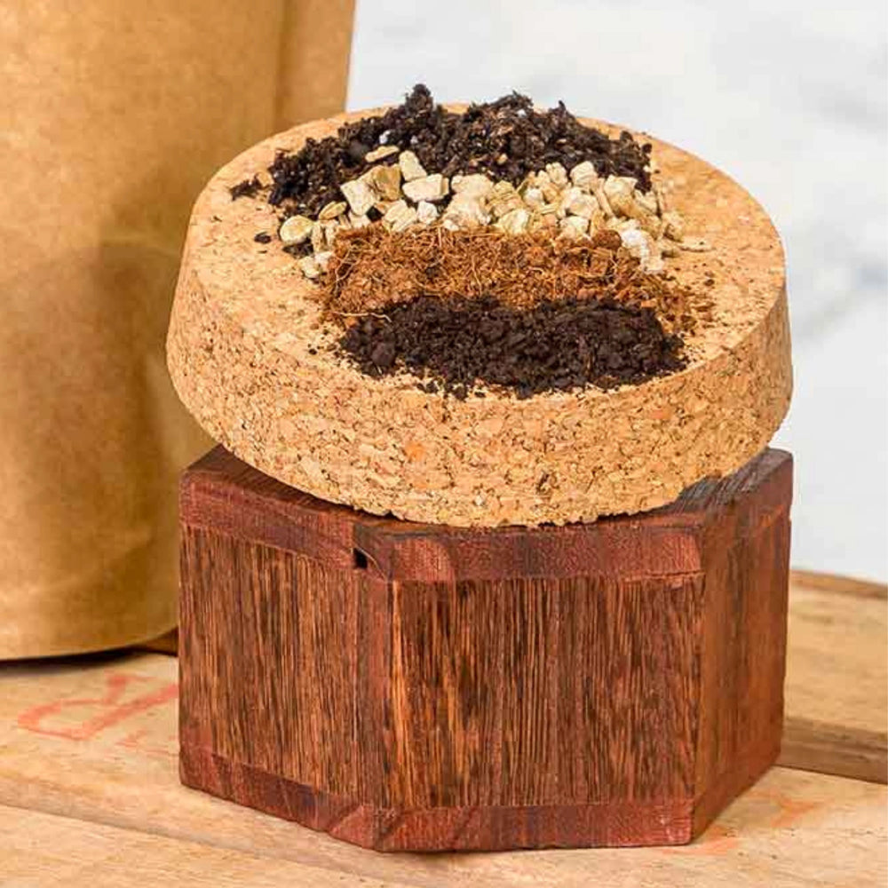 Detalle de la mezcla de sustrato personalizado para plantas · La Plantisserie