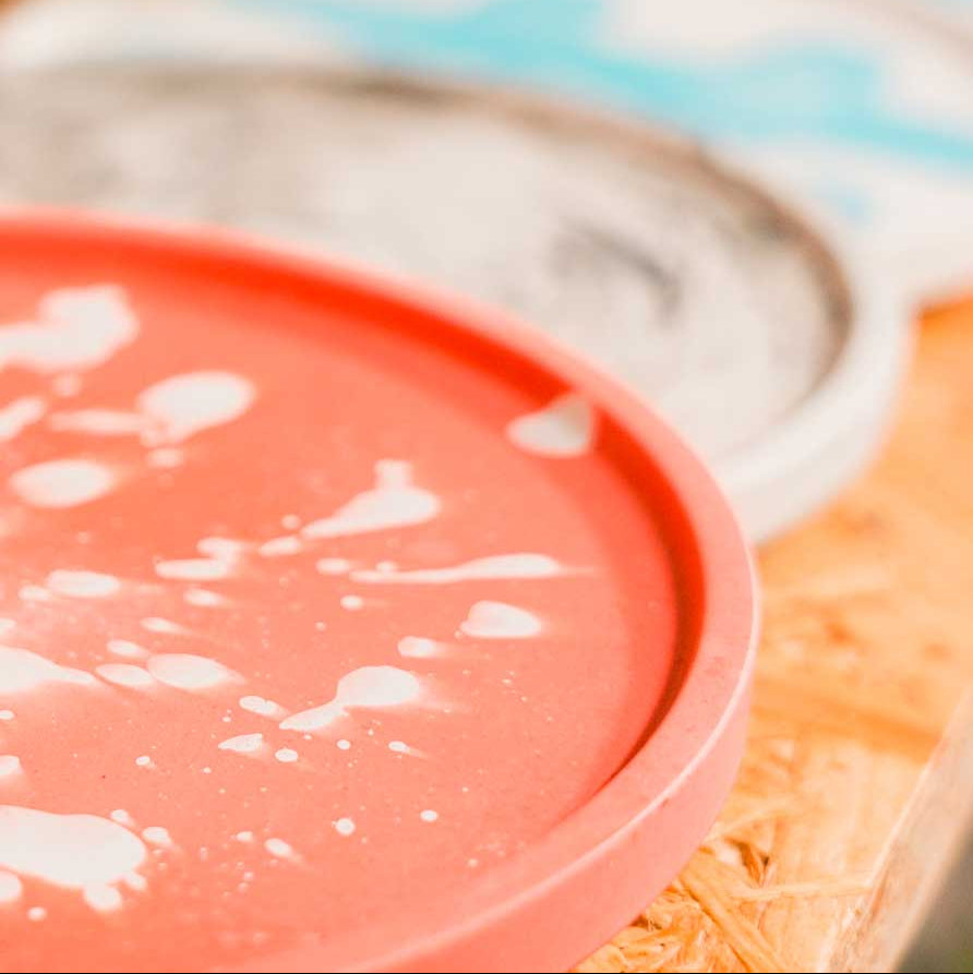 Taller Kokedama + Base de Resina