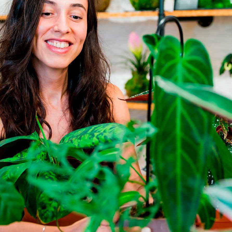 Taller de cuidado de plantas de interior en Barcelona: riego, luz y sustrato