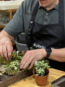 Taller de Jardín Vertical Natural - La Plantisserie