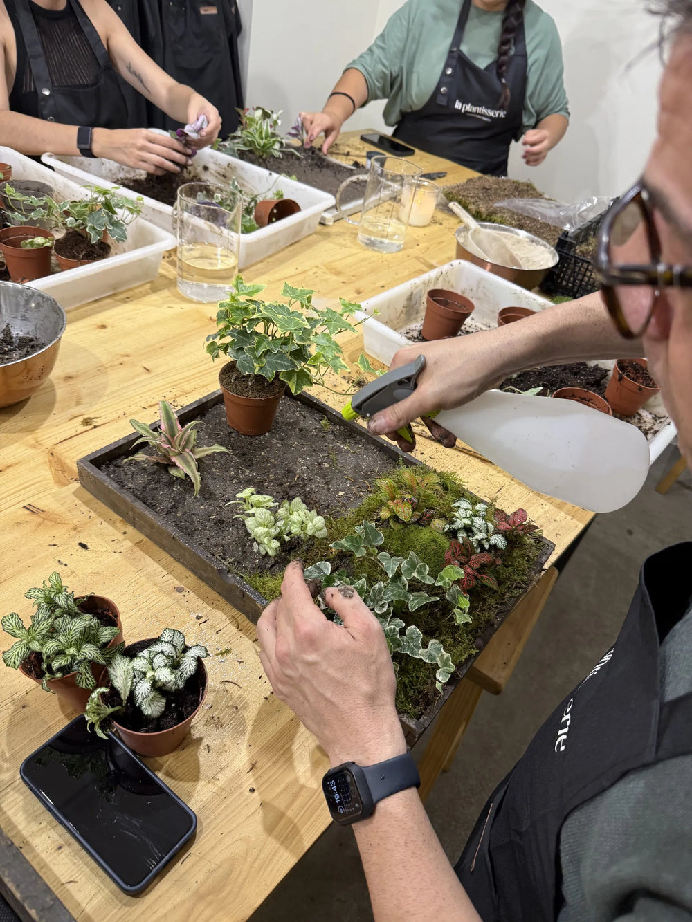 Taller de Jardín Vertical Natural - La Plantisserie