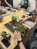 Taller de Jardín Vertical Natural - La Plantisserie