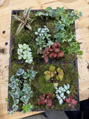 Taller de Jardín Vertical Natural
