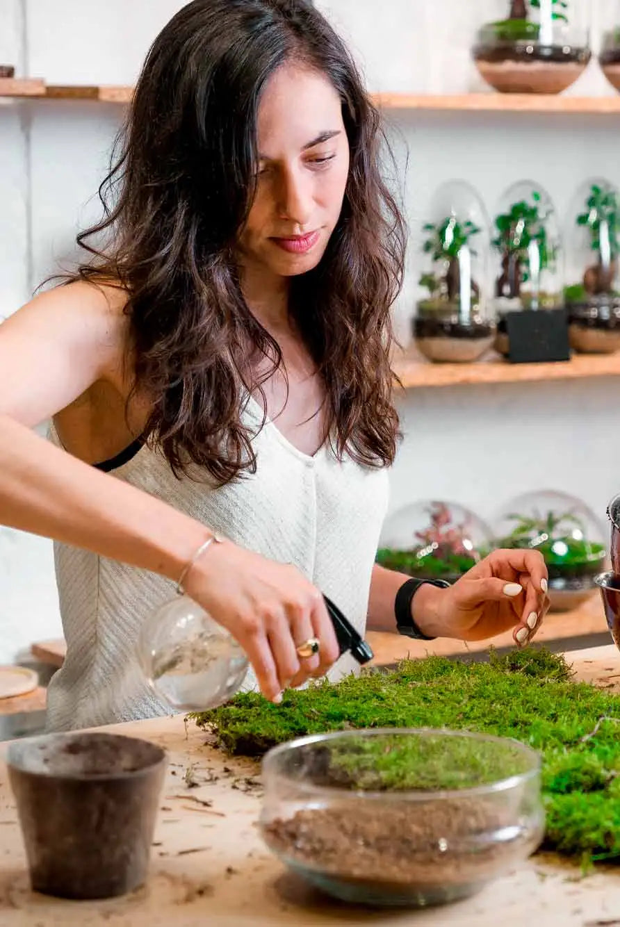 Taller Kokedama en Barcelona