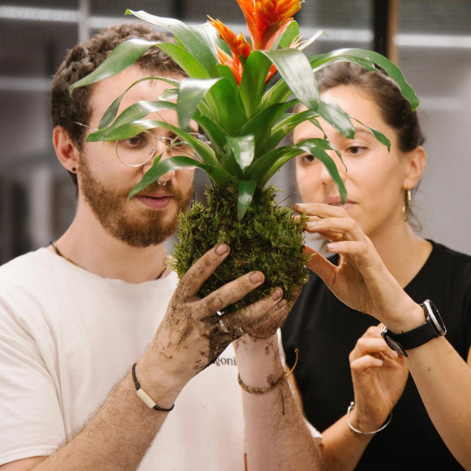Taller Kokedama en Barcelona