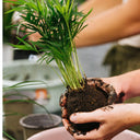 Taller Kokedama en Barcelona