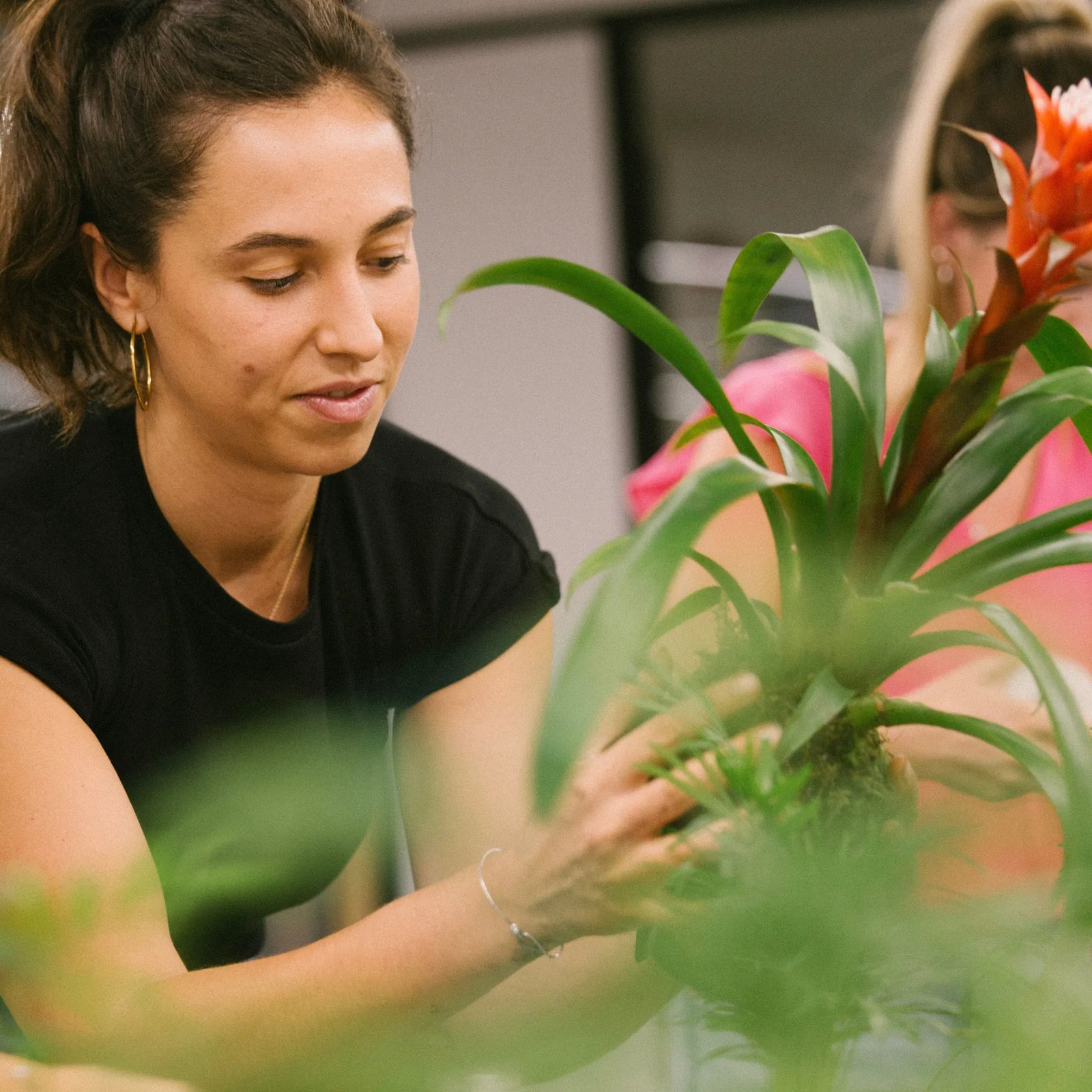 Taller Kokedama en Barcelona