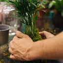 Taller Kokedama en Barcelona
