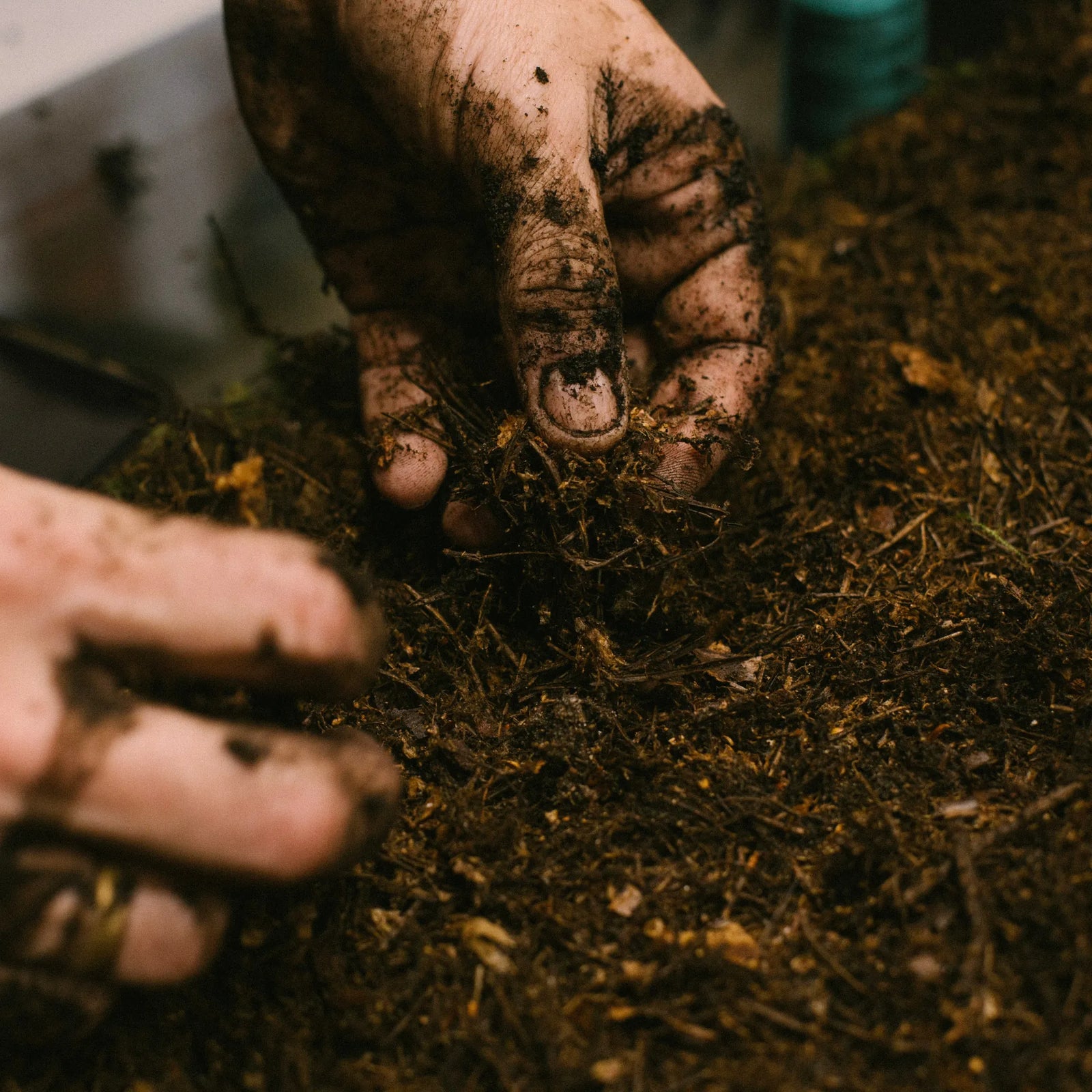 Taller Kokedama en Barcelona