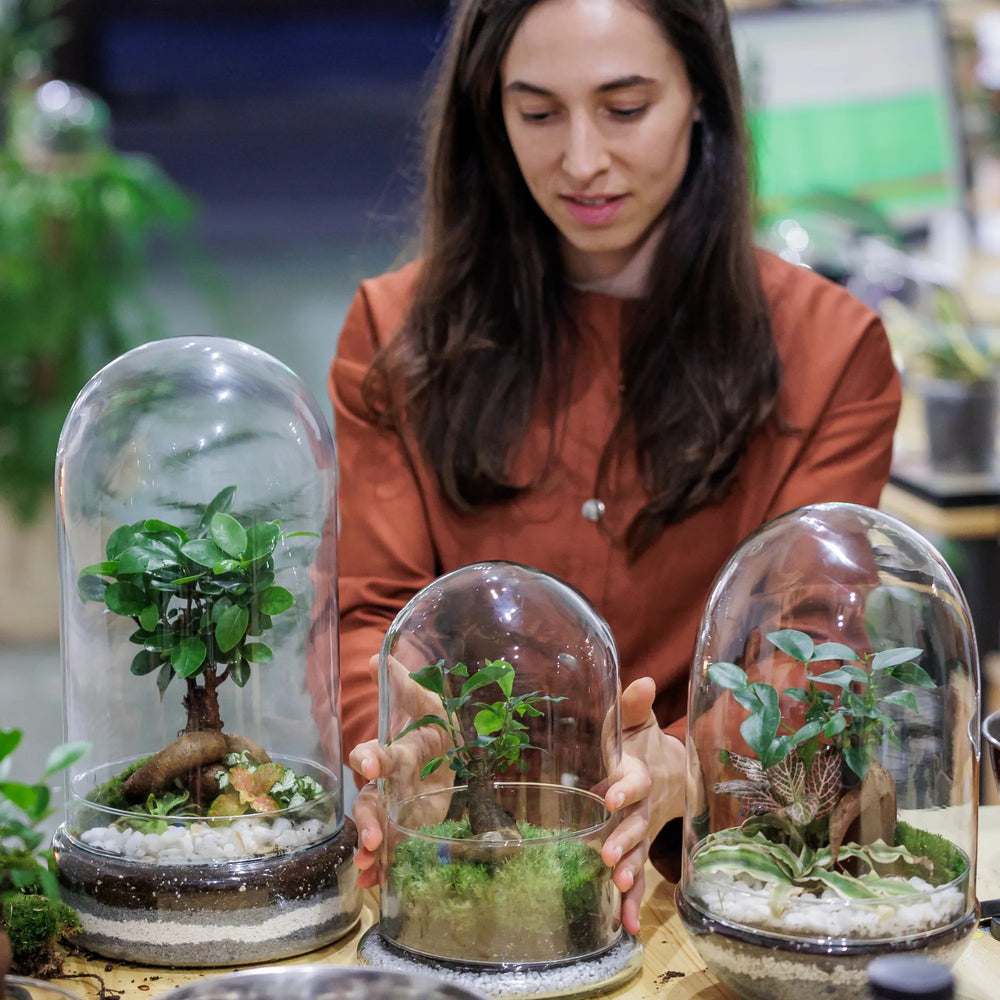 Taller de terrarios en Barcelona, experiencia creativa con plantas