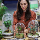 Taller Terrario Plantas Barcelona