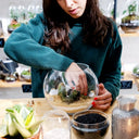 Taller de Terrario Cactus y Suculentas