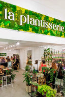 Taller Terrario Plantas Barcelona