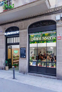 Taller Terrario Plantas Barcelona
