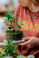 Taller Terrario Plantas Barcelona