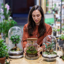 Taller Terrario Plantas Barcelona