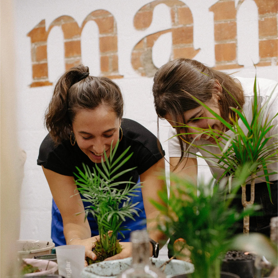 Team Building entre Plantas