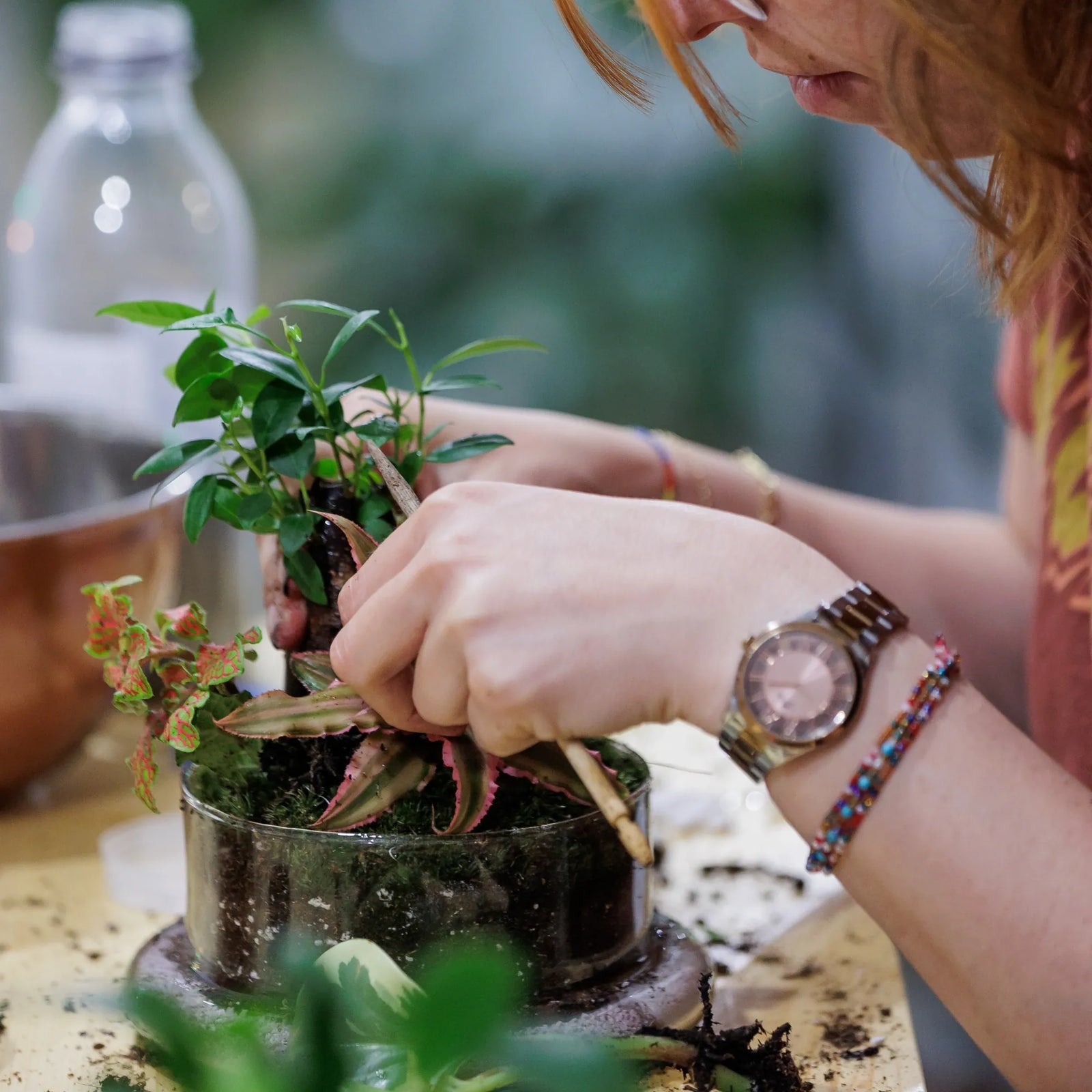 Team Building entre Plantas