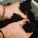 Team Building entre Plantas