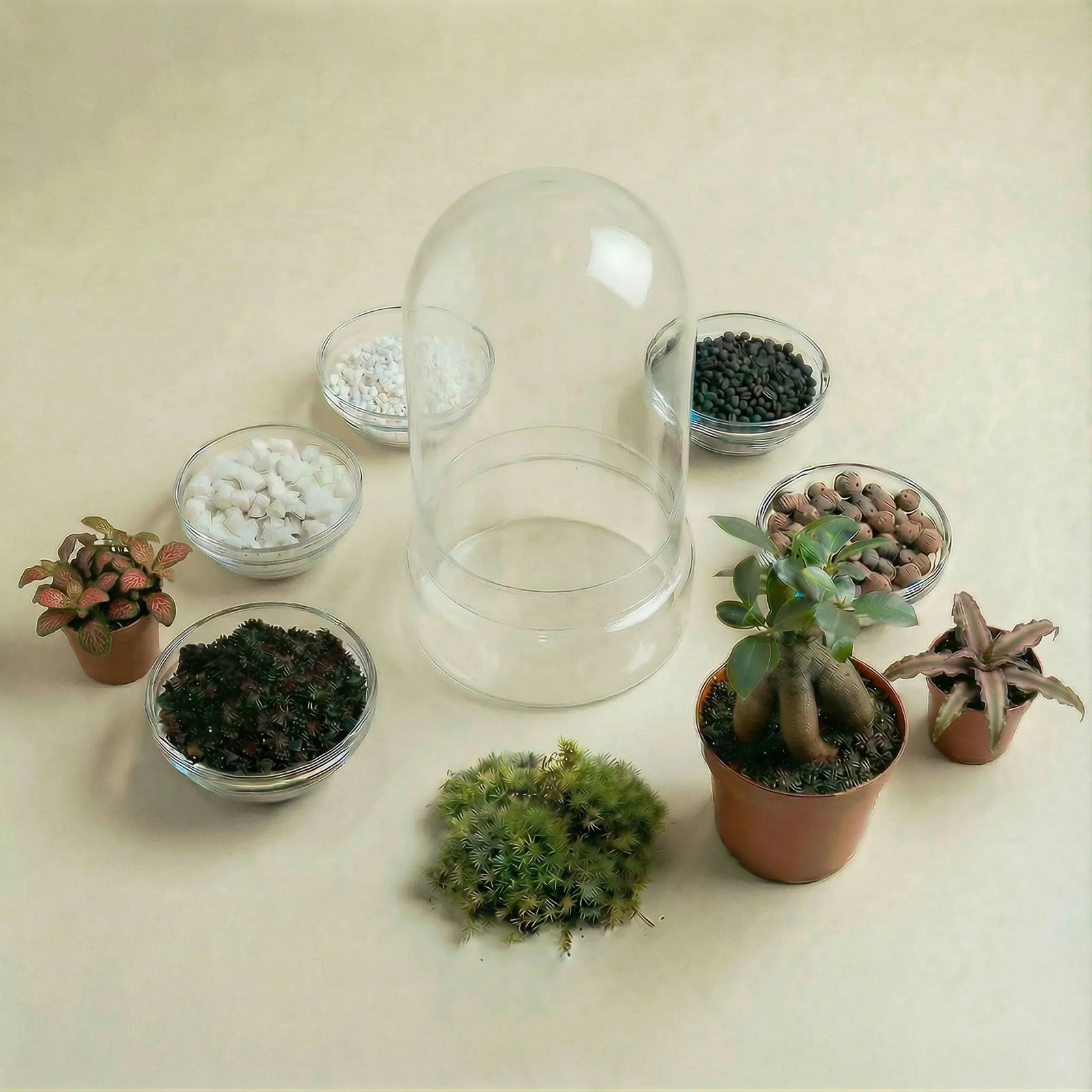 Packs DIY - Hazlo tú mismo | Terrarios de plantas