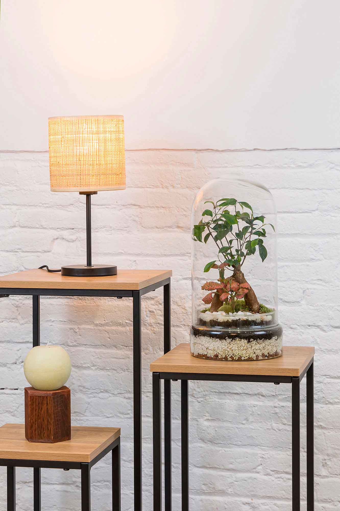 Terrario plantas Tall (37x20cm)